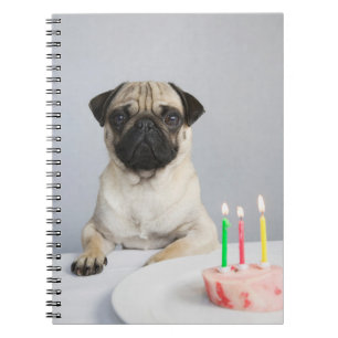 Birthday Pug Notitieboek