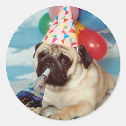 Birthday Pug Stickers (Voorkant)