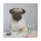 Birthday Pug Tegeltje (Voorkant)