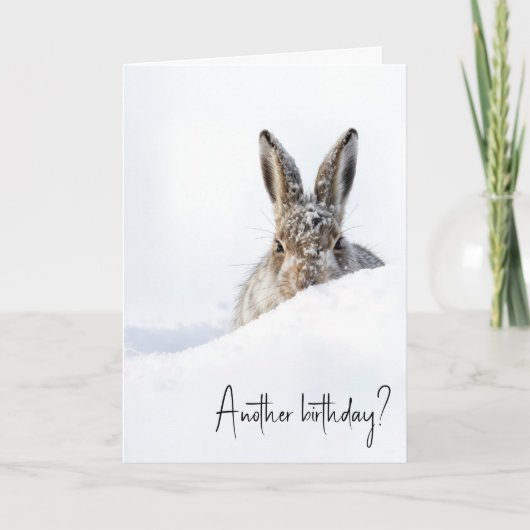 Birthday Rabbit Peeking Over a Snowdrift Kaart (Voorkant)