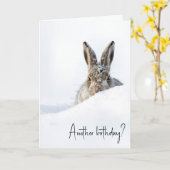 Birthday Rabbit Peeking Over a Snowdrift Kaart (Gele Bloem)