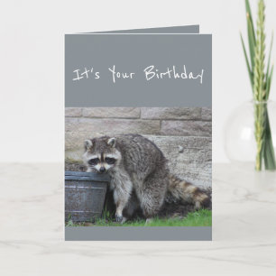 Birthday Raccoon Bucket met Fun Humor Card Kaart