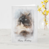 Birthday Ragdoll Cat Kaart (Gele Bloem)