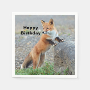 Birthday Red Fox Servet