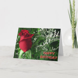 Birthday Red Rose Bud Kaart