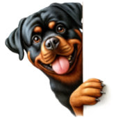  Birthday   Rottweiler gift Golfballen