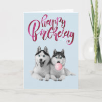 Birthday Siberian Husky Dog Animal Bubble Gum