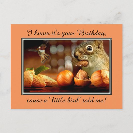 Birthday Squirrel Briefkaart (Voorkant)