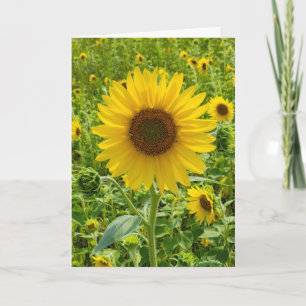 Birthday Sunflower Kaart