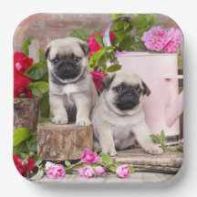 Birthday Sweet Baby Pugs Floral Party