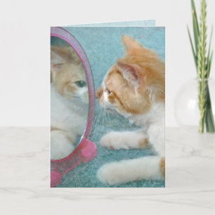 Birthday Tabby Cat in Mirror Kaart