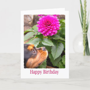 Birthday wil Dahlia en Spaniel Dog Kaart