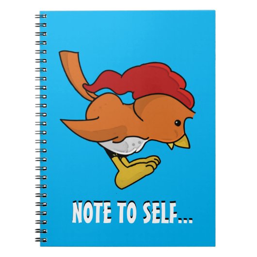 Birzy | Le Cahier de la Whippoorwill (Devant)