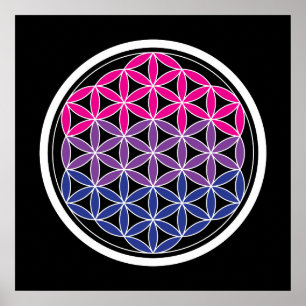 biSacred geometrie Poster