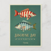 Biscayne Bay Florida vis Briefkaart (Voorkant)