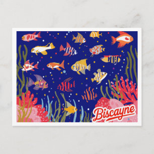 Biscayne National Park Rif Vissen Kunst Briefkaart