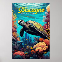 Biscayne National Park Schildpad Illustratie Retro