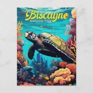 Biscayne National Park Turtle Illustratie Retro Briefkaart