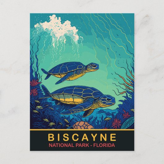 Biscayne, Turtles Onderwater, Florida, Reizen Briefkaart (Voorkant)