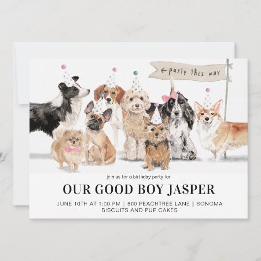 Biscuits & Pup Cakes Dog's Verjaardagsfeest Kaart (Voorkant)