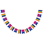 Biseksuele vlag en regenboog vlag, vlag van pride/ vlaggetjes (Alle)