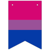Biseksuele vlag en regenboog vlag, vlag van pride/ vlaggetjes (Eerste vlag)