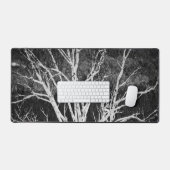 Biset Blanc En Hiver Photo Noir Et Blanc (Clavier et souris)