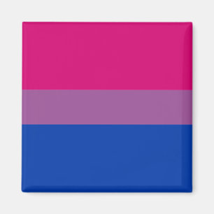 Bisexual Flag & Pride community/gender flag Magne Magneet