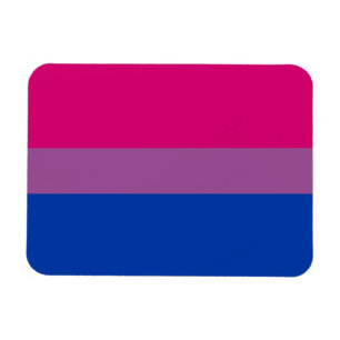 Bisexual Pride Flag Magneet