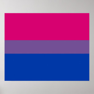 Bisexualiteitvlag Poster