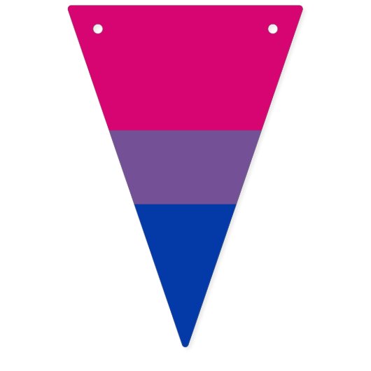 Bisexuality pride flag banner Bunting Flags (Tweede vlag)