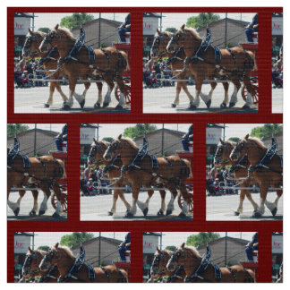 Bishop Mule Days 2018 Stof