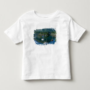 Bishops Bay, Loch Leven, Ballachullish, Kinder Shirts