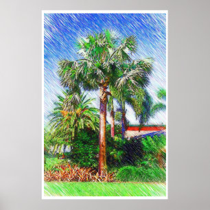 Bismarckia nobilis palmboom, kleurenpotloodtekenin poster