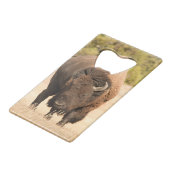 Bison (Devant Angle)