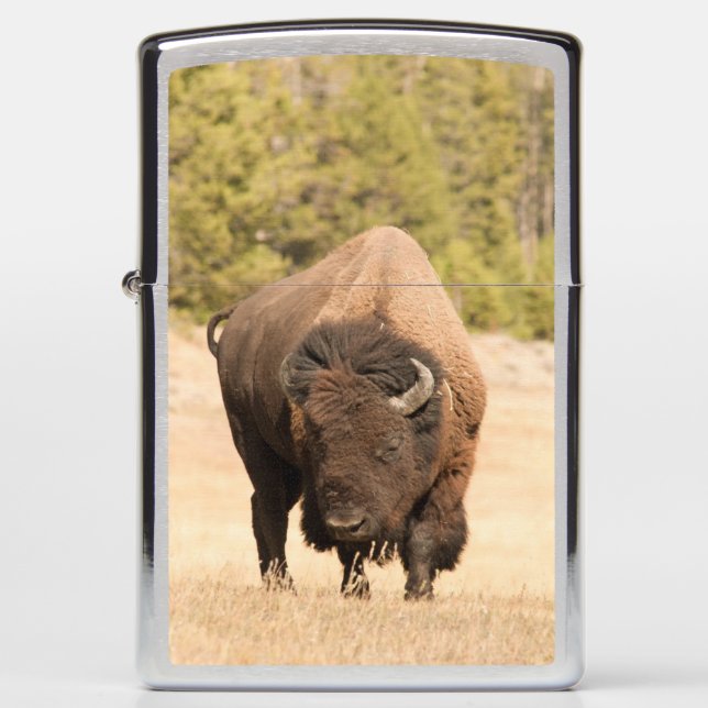 Bison (Voorkant)