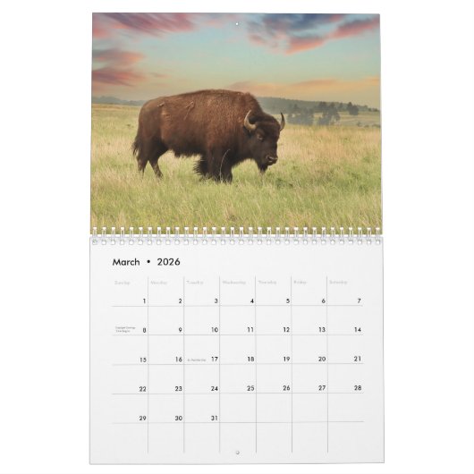 Bison 2026 Calendrier des 12 mois (Mar 2026)