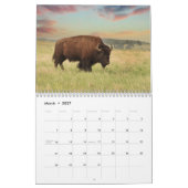 Bison 2026 Calendrier des 12 mois (Mar 2027)