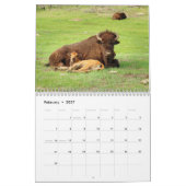 Bison 2026 Calendrier des 12 mois (Feb 2027)
