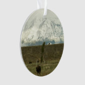 Bison à Grand Teton National Park Photographie (devant)