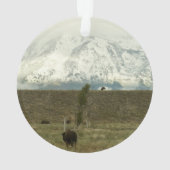 Bison à Grand Teton National Park Photographie (dos)