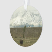 Bison à Grand Teton National Park Photographie (devant)