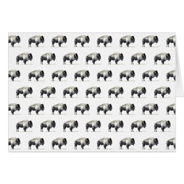 Bison américain (Devant horizontal)