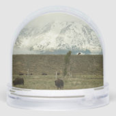 Bison at Grand Teton National Park Photography Sneeuwbol (Achterkant)