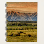 Bison au lever du soleil (Devant)
