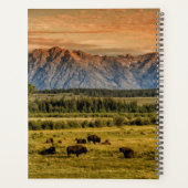 Bison bij Sunrise Planner (Achterkant)