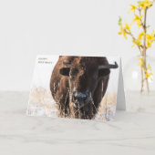 Bison Birthday Kaart (Gele Bloem)