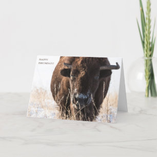Bison Birthday Kaart