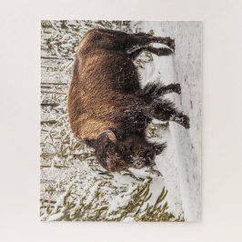 Bison (Bison bison) - Buffalo - sneeuw - 520 stuk Legpuzzel
