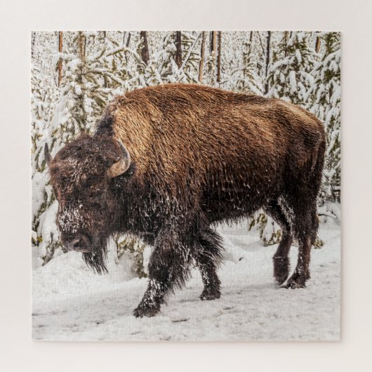 Bison (Bison bison) - Buffalo - sneeuw - 676 stuk Legpuzzel (Verticaal)